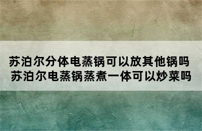 苏泊尔分体电蒸锅可以放其他锅吗 苏泊尔电蒸锅蒸煮一体可以炒菜吗